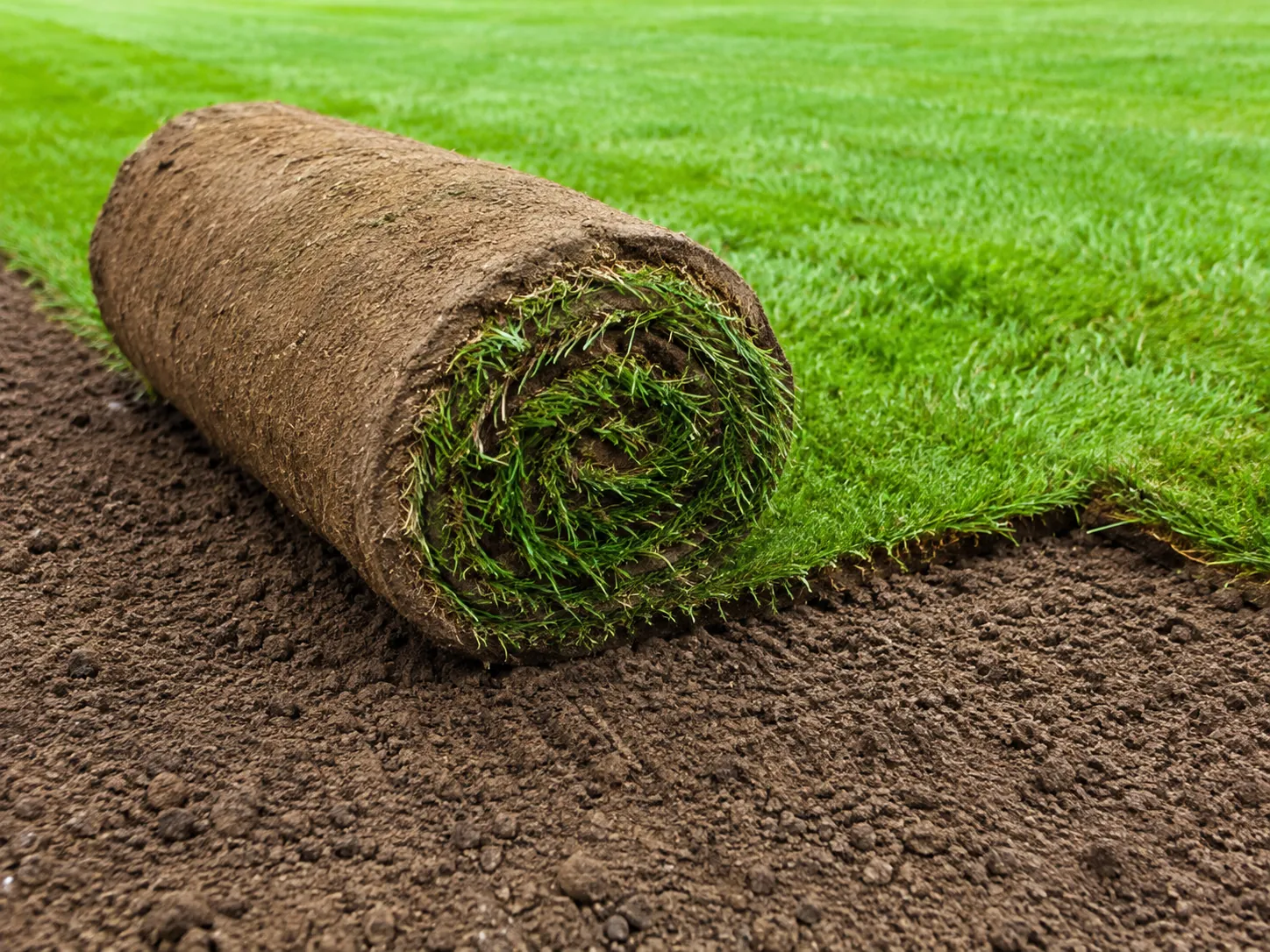 Sod Installation services in Toronto and the GTA