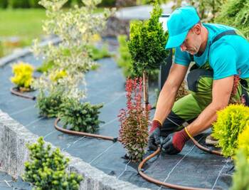 Achieve an Instant Green Lawn with Professional Sod Installation.