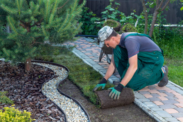 Backyard Landscaping Revamp in Scarborough