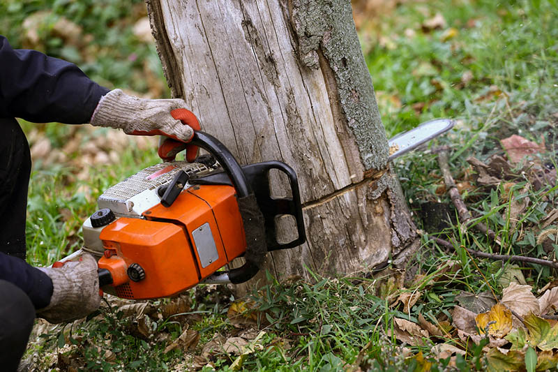 Professional Tree Service image